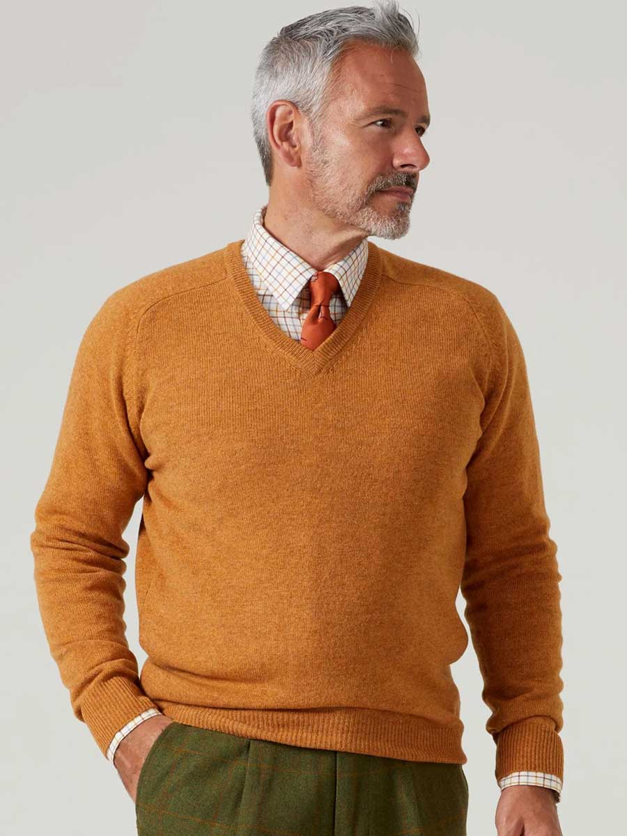 ALAN PAINE Streetly Men's V Neck Lambswool Jumper - Gazelle - Image 2