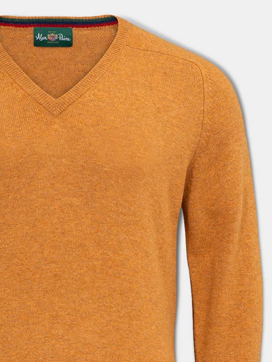 ALAN PAINE Streetly Men's V Neck Lambswool Jumper - Gazelle - Image 5